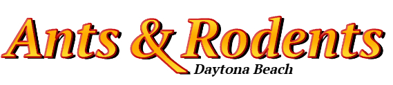 Daytona Beach Ant Exterminator & Rodent Control Company Logo